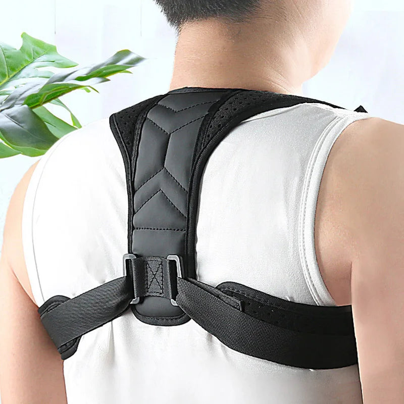 ProAlign – Adjustable Back Support