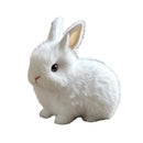 Bunbri - My Realistic Bunny Toy