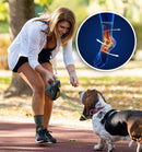 Sports Ankle Brace