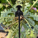 ErgoClaw 4-Tine Precision Weeder
