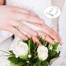 Ring Re-sizer Set