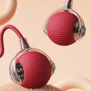 Interactive Pet Toy Ball