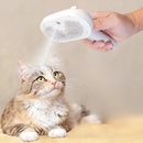 Mist Massage Brush