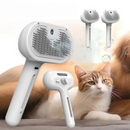 Mist Massage Brush