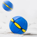 The Doggy Disc Ball