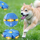 The Doggy Disc Ball