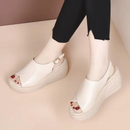 Iris Men's Comfort Sandals