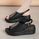 Iris Men's Comfort Sandals