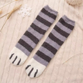 Cat Claw Socks