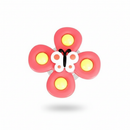Suction Cup Spinner Toys