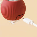 Interactive Pet Toy Ball