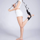 FlexBand Anatomical Stretching Band