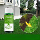 Green Grass & Pest Control Lawn Spray