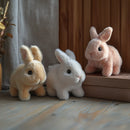 Bunbri - My Realistic Bunny Toy
